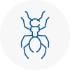 Ant Removals In Stafford