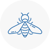 Bee Nest Removal Stafford