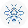 Stafford Hornet Nest Removals