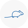 Mice Exterminators In Stafford