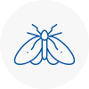 Moth Control Specialists In Stafford