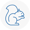 Stafford Rodent Removals